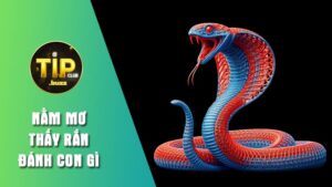 Giải mã ý nghĩa giấc mơ gặp rắn