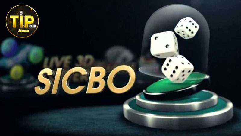 Lưu ý người mới đảm bảo chiến thắng trò chơi Sicbo
