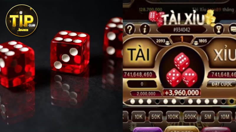 Lưu ý tân cược thủ Tipclub